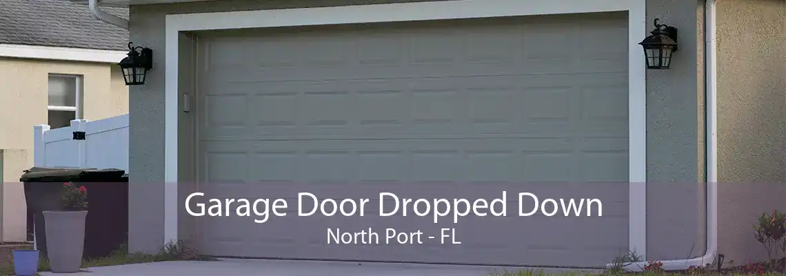 Garage Door Dropped Down North Port - FL