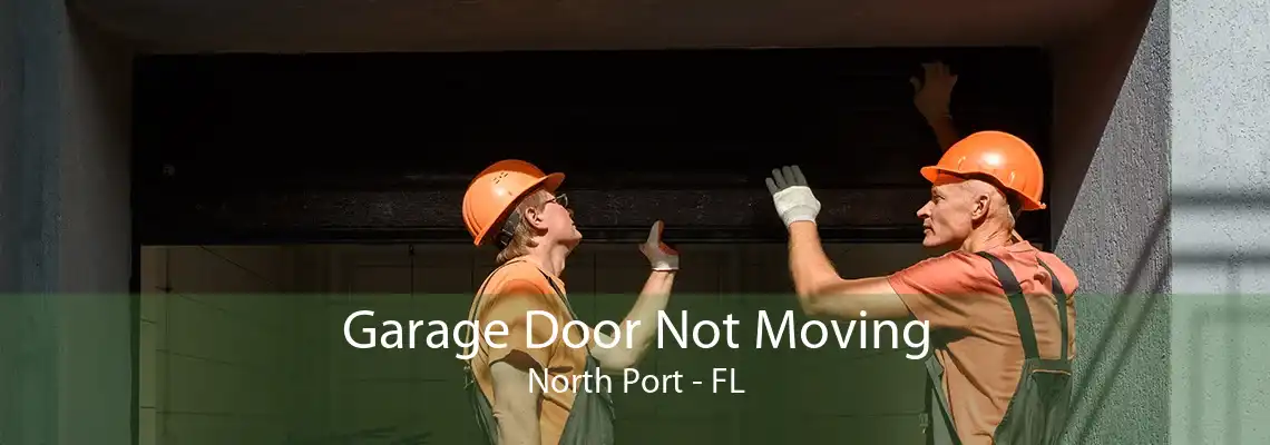 Garage Door Not Moving North Port - FL